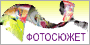 Фотосюжет